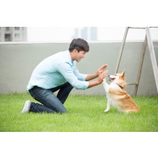 반려동물관리사